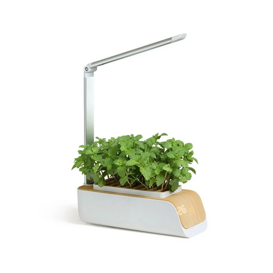 ABIS-H003 LED Grow Lights Smart Flower Pot Planter Automatic Absorption Hydroponics Plant Light Soilless Cultivation Electric Tool for Garden - EU Plug